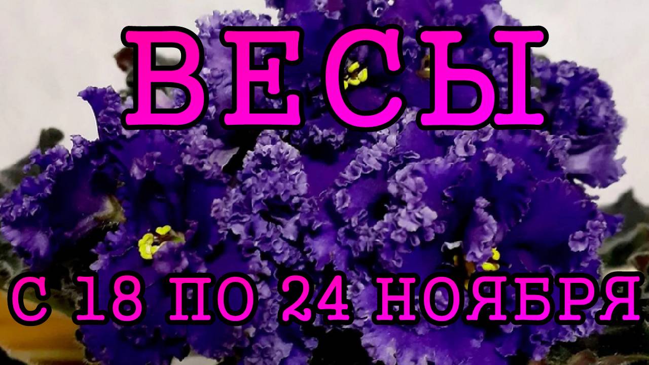 ВЕСЫ таро прогноз на неделю с 18 по  24 НОЯБРЯ 2024 года.