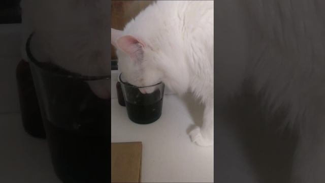 не смотря на милое личико, алкоголичка