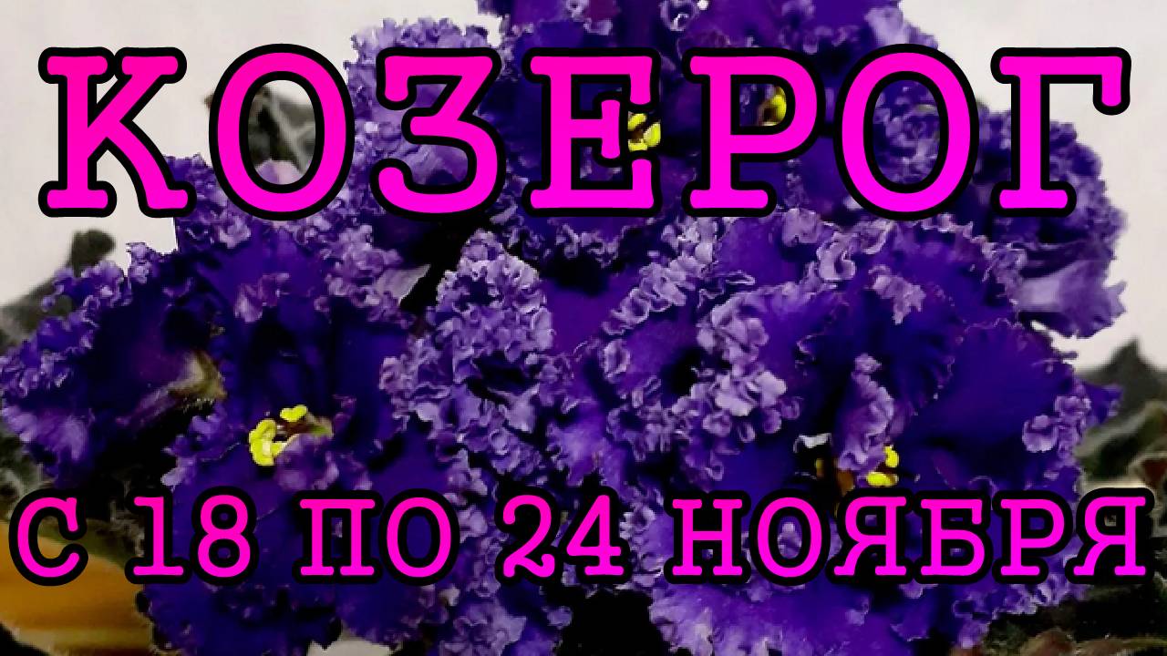 КОЗЕРОГ таро прогноз на неделю с 18 по 24 НОЯБРЯ 2024 года.