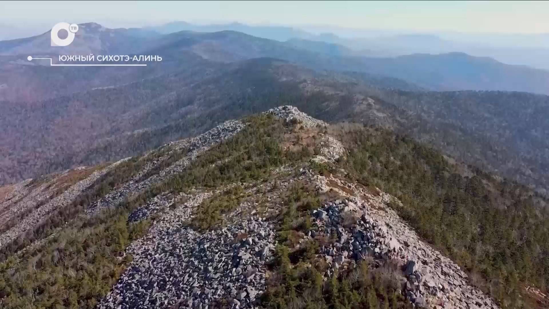 Разведка блогом / Гора Ливадийская / 12.11.24