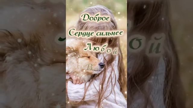 День Доброты