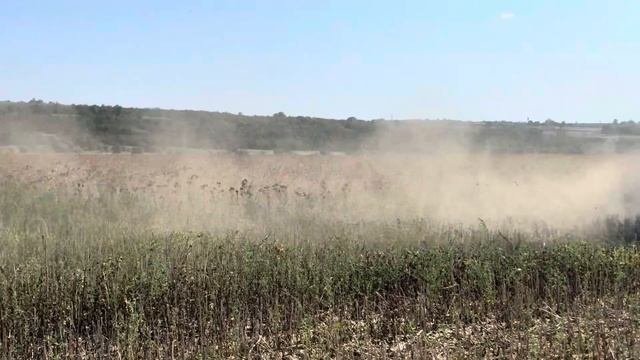 Комбайнер втік.Зібрали врожай екзотичної культури Сафлор.Зустріли гостей з LNZ.31.07.24.ДОН 1500б
