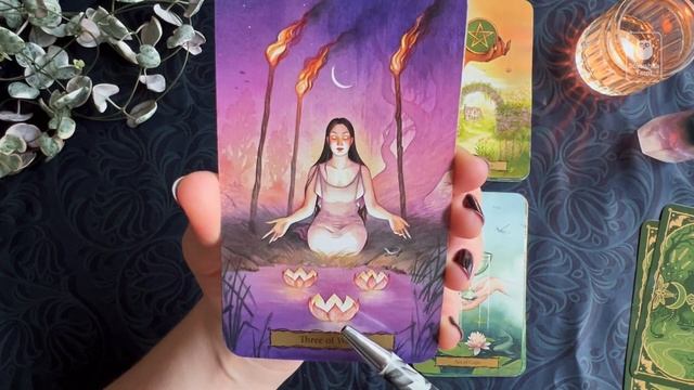 Новинка! Tarot of the Witch's Garden — большой обзор / Таро Ведьминого сада