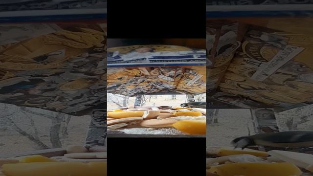 1000032194.mp4Кормушка.13.11.2024г.