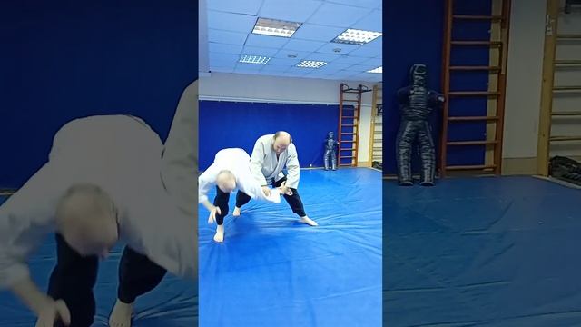 Обучающий семинар традиционных техник. 1. 15 Окт 2023 г.  Синтэн-рю Айкидзюдзюцу