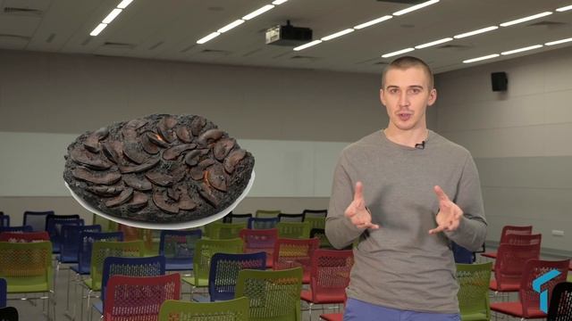 9.2  Влияние рисков на сроки, качество и содержание
