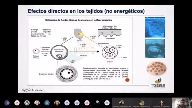 Actualización en el uso de los ácidos grasos esenciales en la dieta de rumiantes