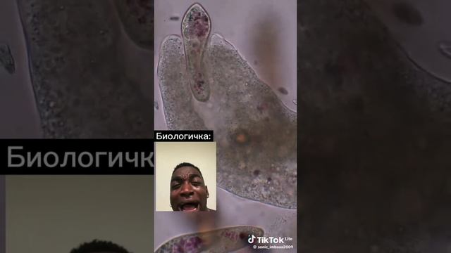 биологичка