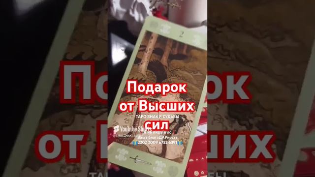 🎁Тебе подарок🎁