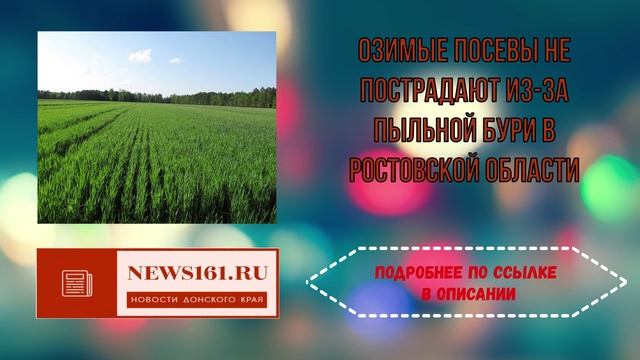 Озимые посевы не пострадают из-за пыльной бури в Ростовской области