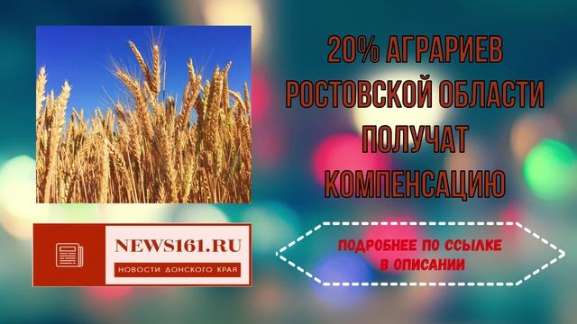 20% аграриев Ростовской области получат компенсацию