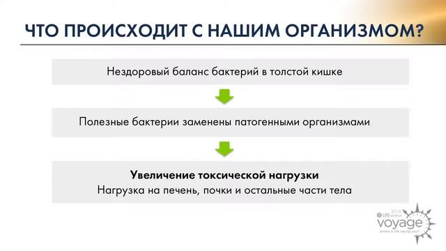 УЛУЧШЕНИЕ ПИЩЕВАРЕНИЯ С DIGESTIVE