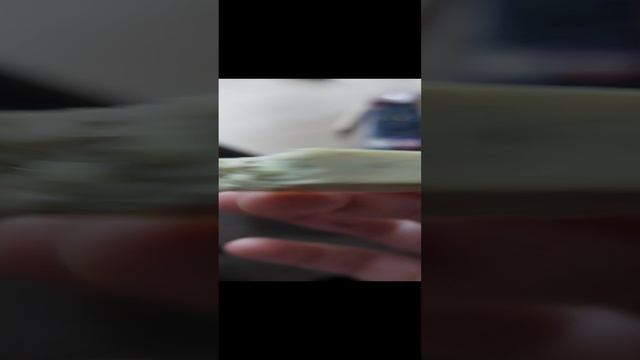 1000067415.mp4