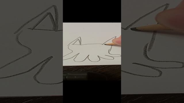 1000017625.mp4