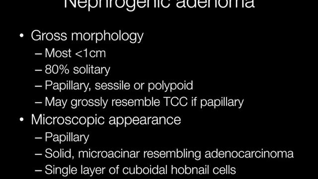 Nephrogenic Adenoma - Pathology mini tutorial