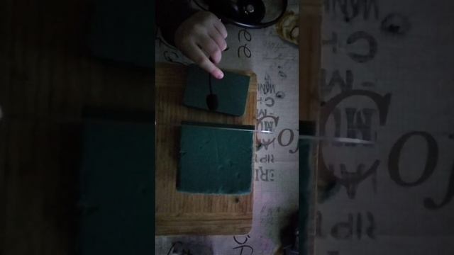 Steckschaum ASMR