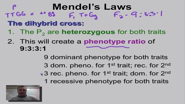 Chapter 11 Part 9 - Dihybrid Crosses