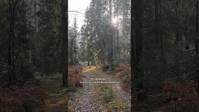 И снова восхищаюсь природой #природа #лес #гармония #восхищение #очарованиеприроды