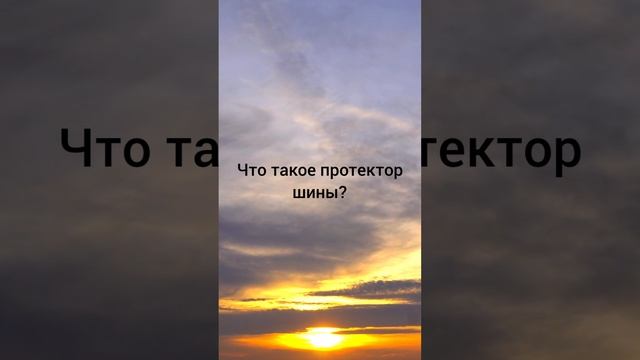Что такое протектор шин