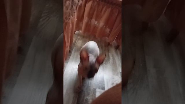 1000534916.mp4