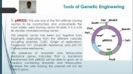 Lecture 12 SY BSC SEM IV Vectors Plasmids pBR 322 & pUC
