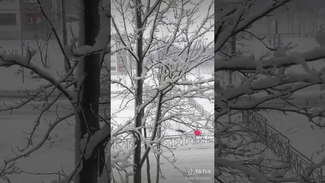 1000008863.mp4