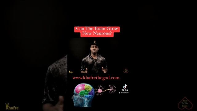 Can the brain grow new neurons?
