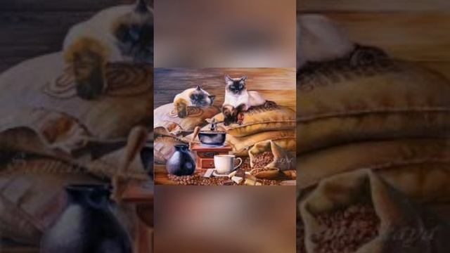 Video 20241113-02.mp4