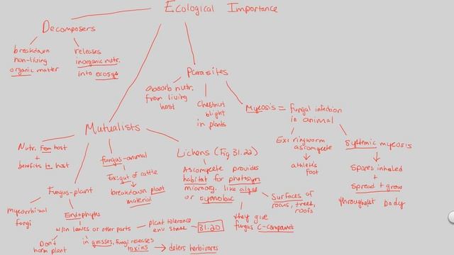 UD I (Fungi) - Ecological Importance (Part 2) | BIALIGY.com