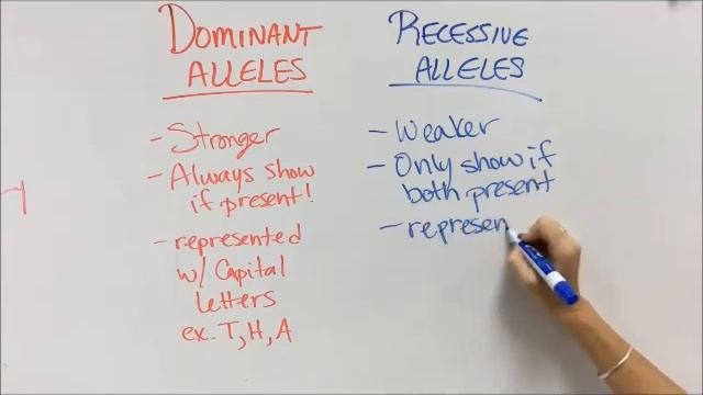 Dominant vs Recessive Traits