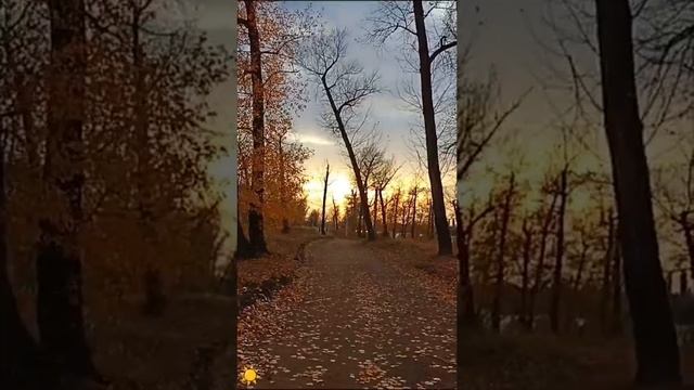 Моя осенняя 🍂 прогулка Тинь-зинь Энгельс . Природа поражает красотой 😍