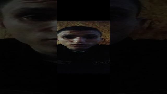 13-11-2024