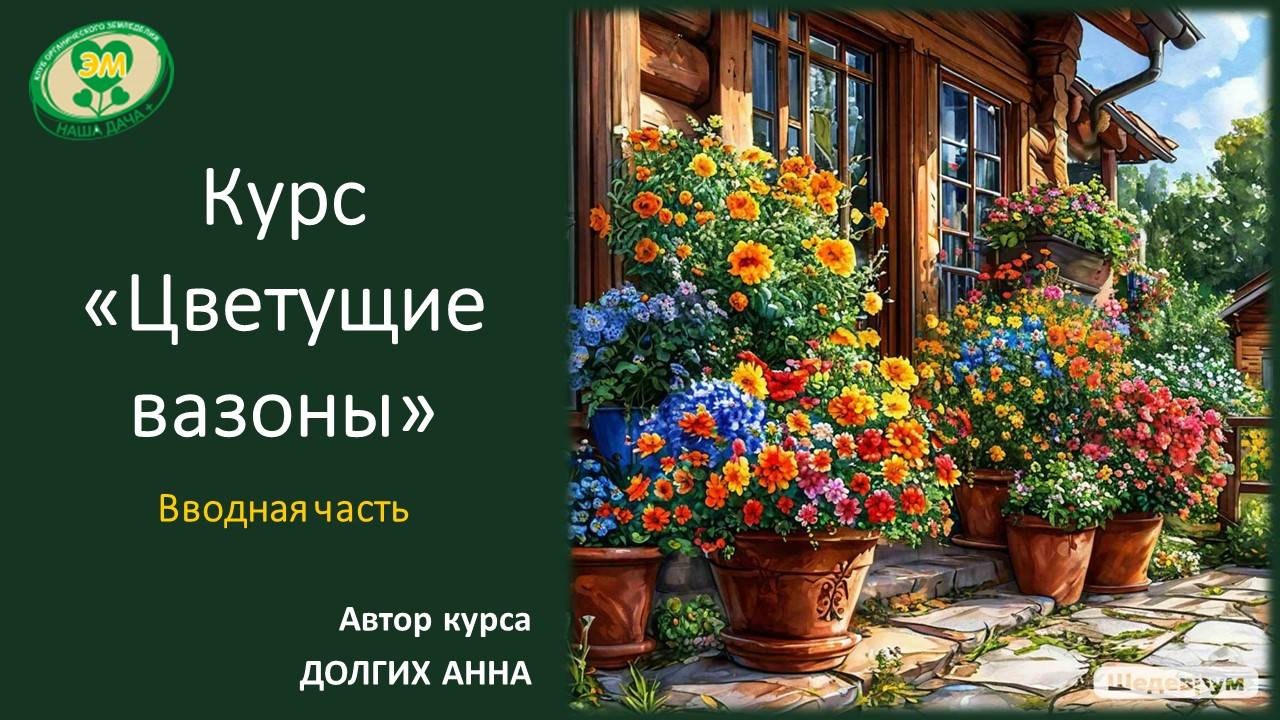 Курс «Цветущие вазоны». Вводная часть. Долгих Анна