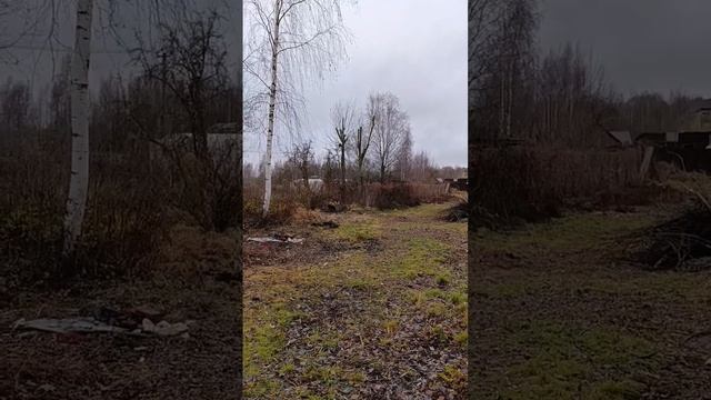 Подкрались поросята)