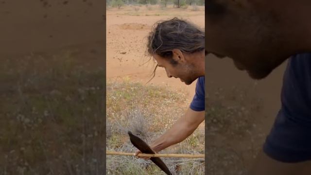 Catching One Of Australia’s MOST VENOMOUS Snakes | Primal Survivor