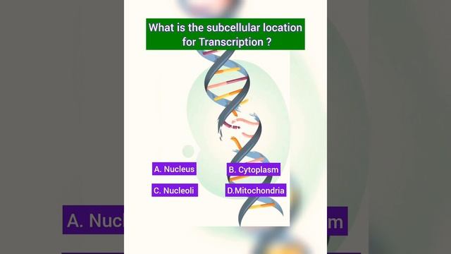 What is a Location for Transcription?
