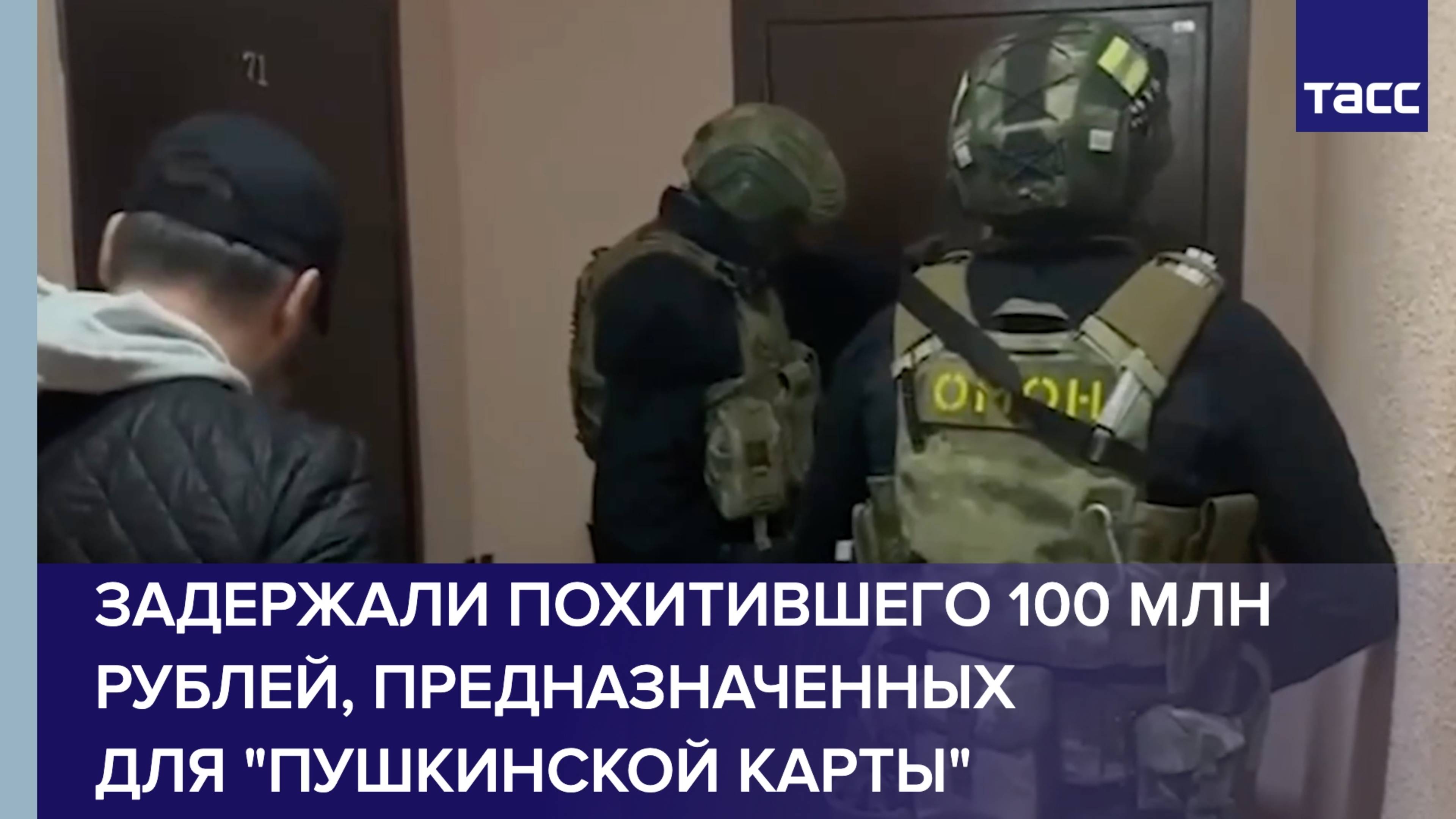 Задержали похитившего 100 млн рублей, предназначенных для "Пушкинской карты"