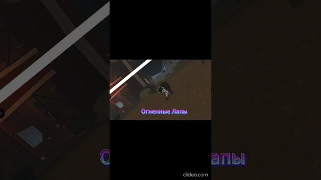 Перезалив видео с |°•Fog Storm•°|_;WCUE;_
