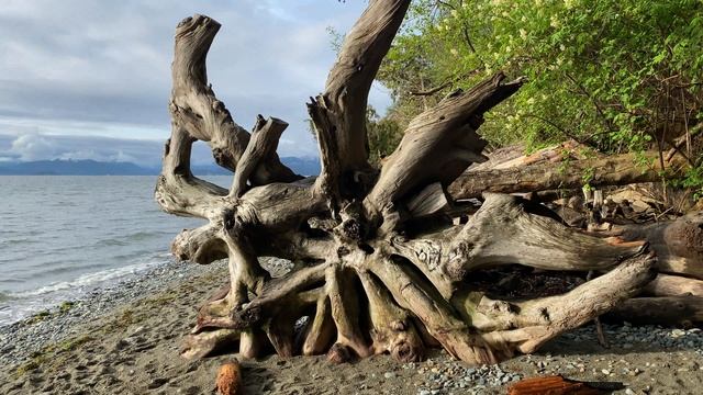 4289876-uhd_3840_2160_30fps