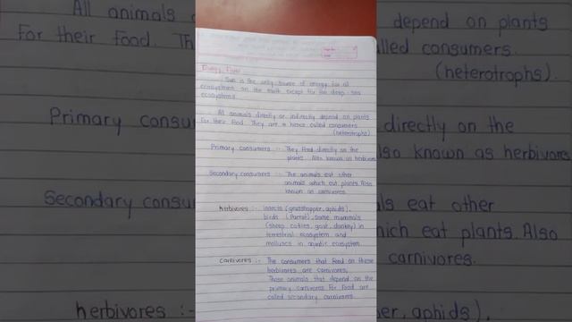 Ecosystem and Energy Flow class 12th biology notes