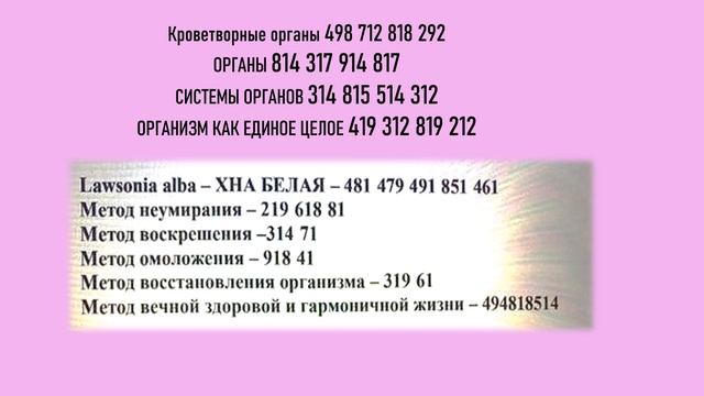 Скелет туловища