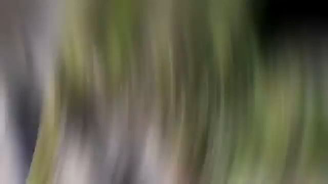 Векамень