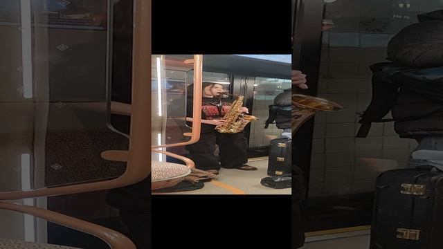 VID_20241113_174542.mp4