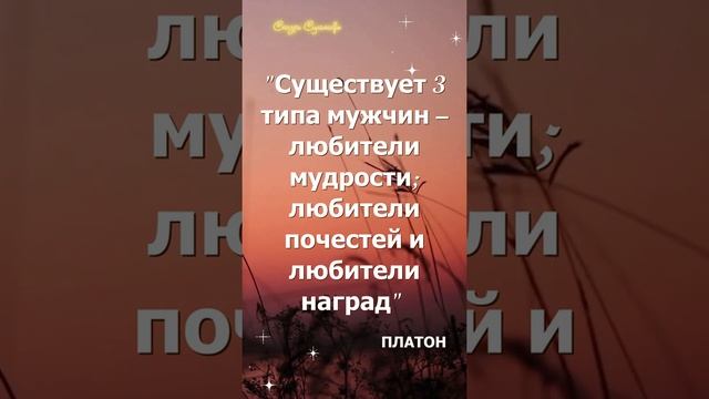 Великие цитаты Платона про мужчин | Сказки Суламифь