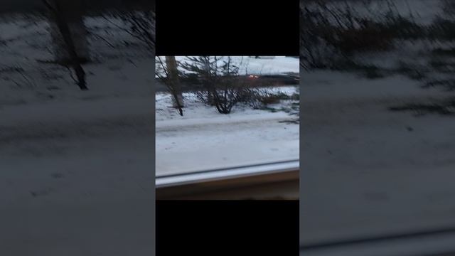 На районе новый охотник☺️☕
