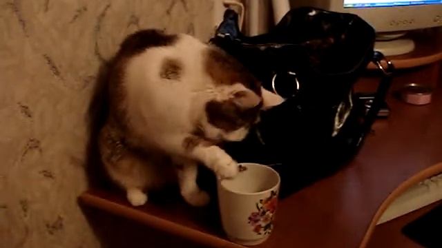 Кира ест мороженое