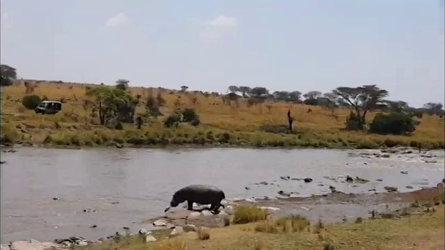 Africa Serengeti National Park
