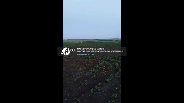 Внесение пестицидов#2020#Sunfiower