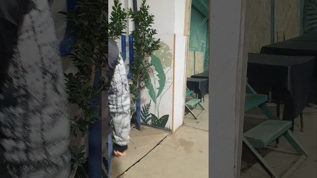 Купили билетики на бал хризантем🌼