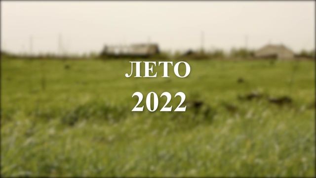Каникулы в деревне